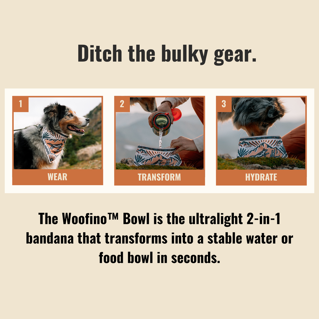 Woofino™ Bowl Woofino