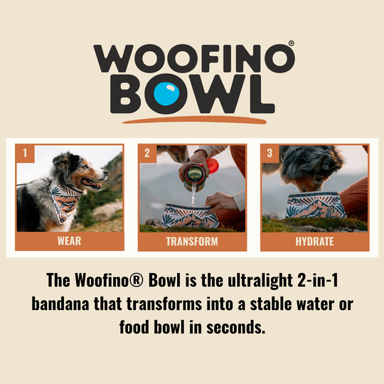 Woofino® Bowl Woofino
