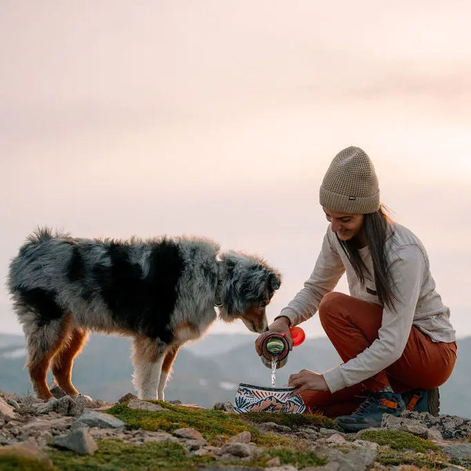 Woofino™ Bowl Woofino