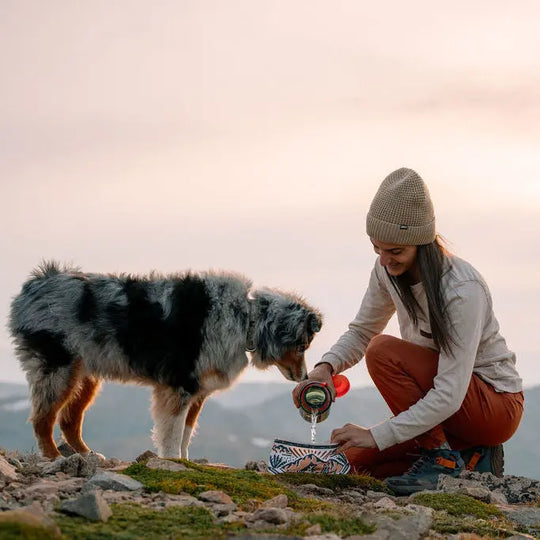 Woofino™ Bowl Woofino