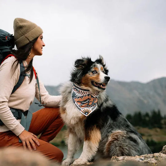 Woofino™ Bowl Woofino