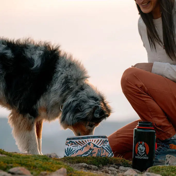 Woofino™ Bowl Woofino