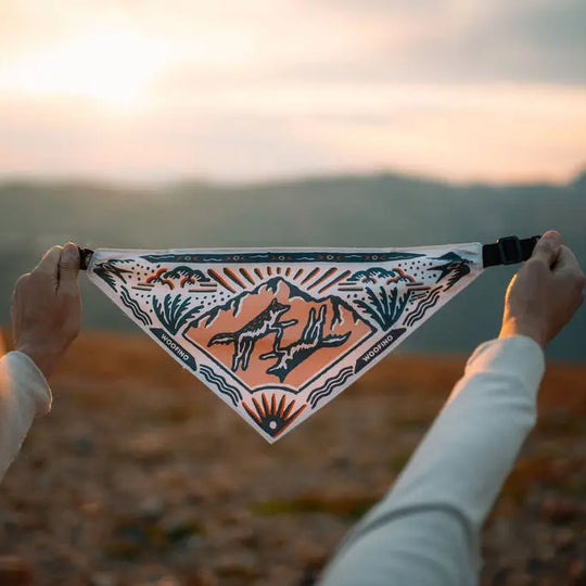 Woofino™ Bowl Woofino