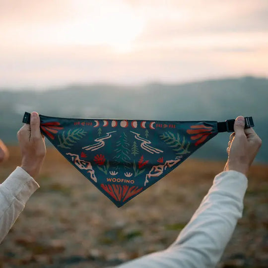 Woofino™ Bowl Woofino