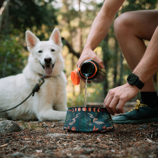 Woofino™ Bowl Woofino